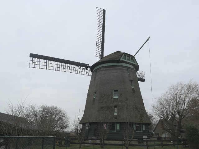 P1340583waarland_z
