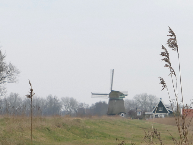P1340597tzand_z