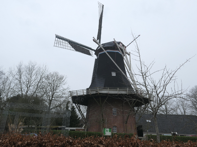 P1340781vriescheloo_z