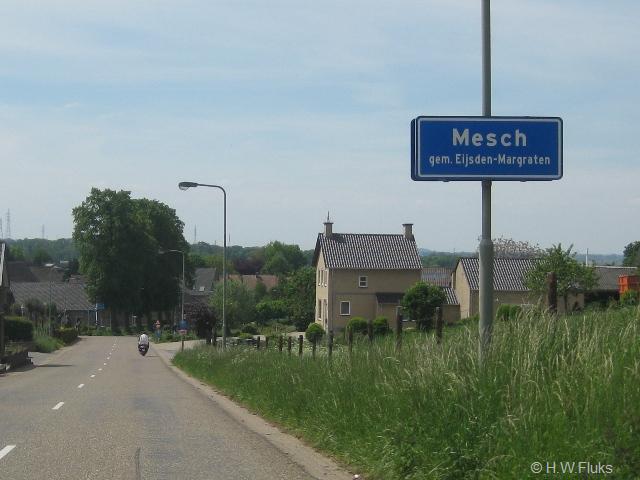 mesch0196