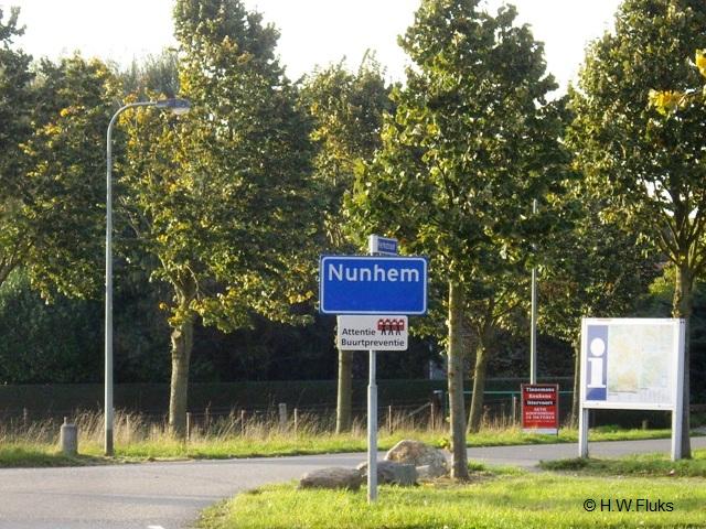 nunhemIMGP9912