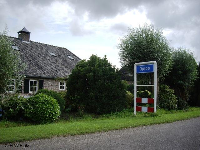 oplooIMGP8762
