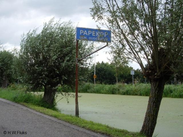 papekopIMGP8652