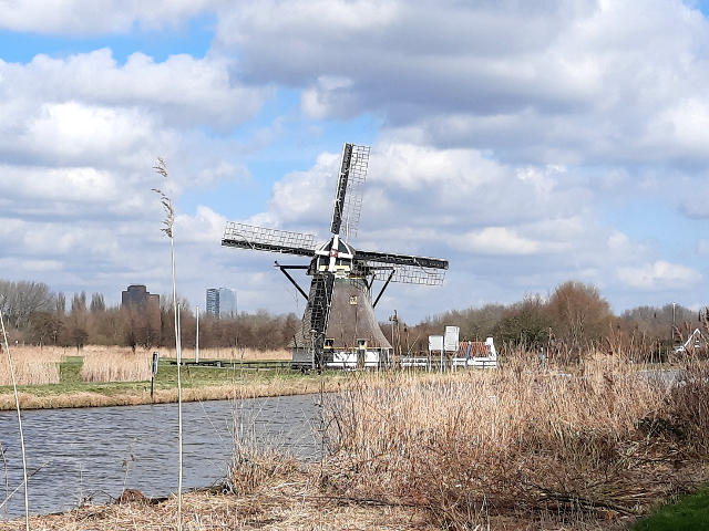 20250226_134916rijswijk_z