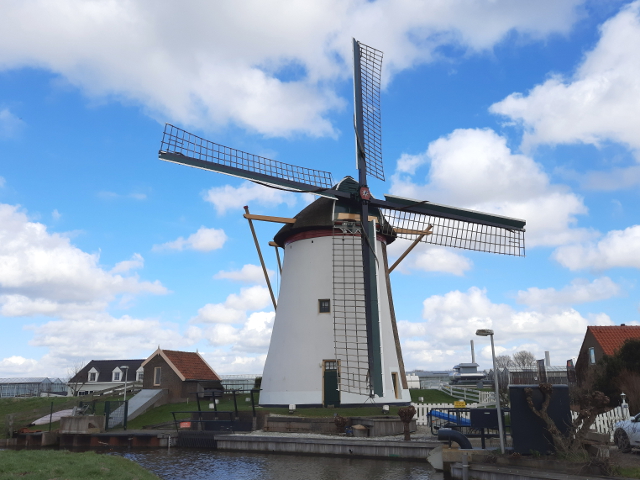 20250226_141353schipluiden_z