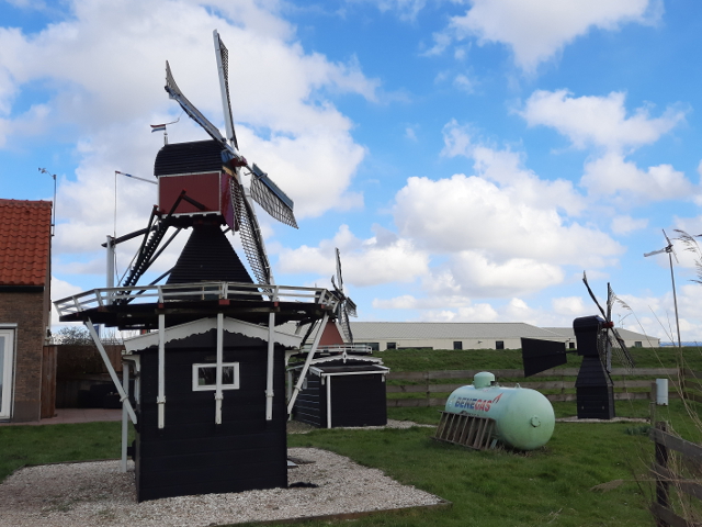 20250226_141631schipluiden_z