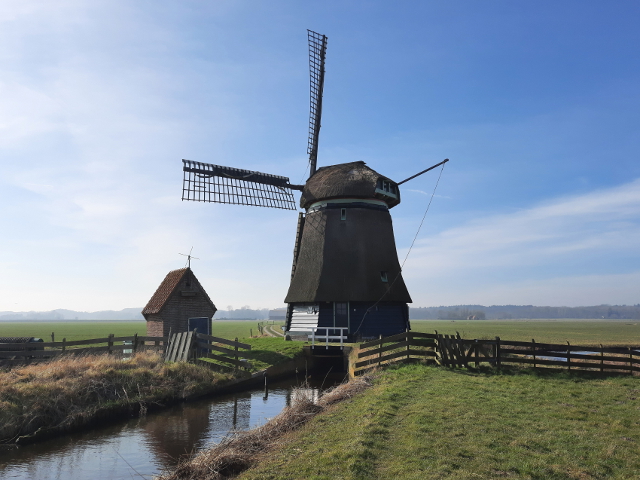 20250305_135755bergennh_z