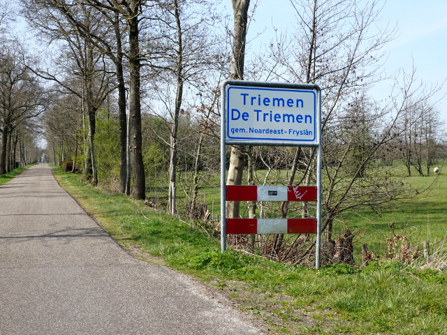 DSC08944detriemenmetn_w
