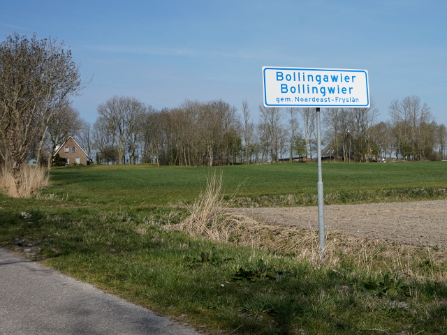 DSC08973bollingawier_w