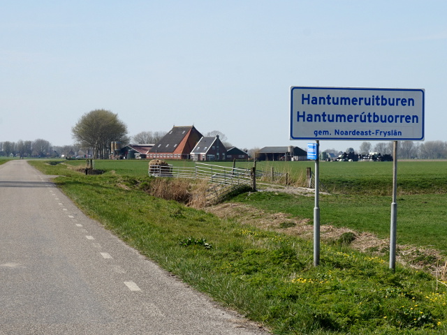 DSC08974hantumeruitburen_w