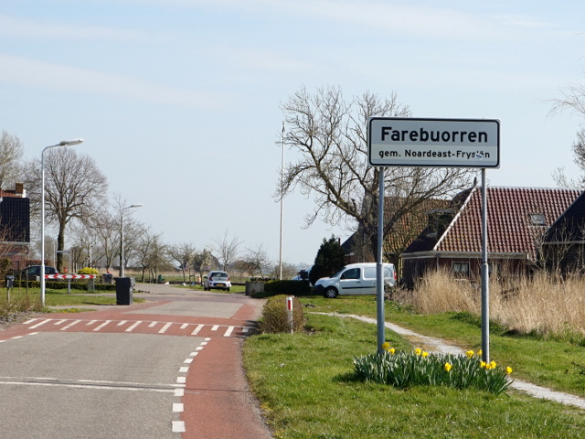 DSC08987farebuorren_w
