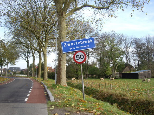 IMGP0273
