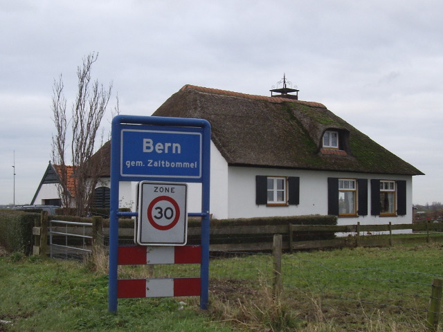 IMGP0747