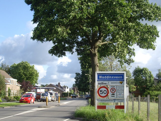 IMGP6164