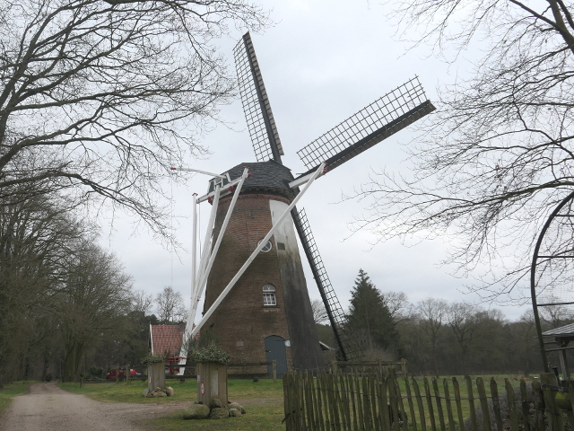P1350040saasveld_z