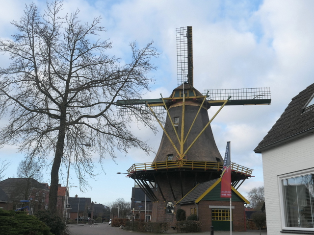 P1350059markelo_z