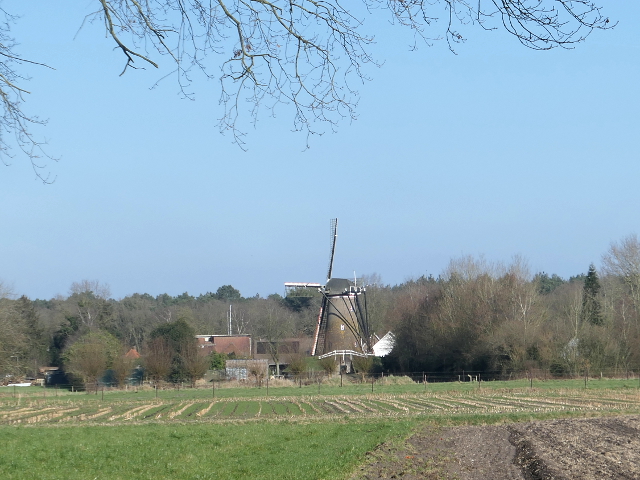 P1350124huijbergen_z