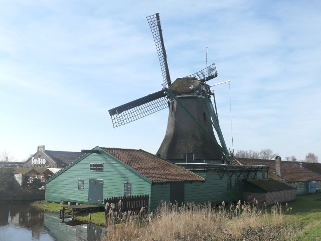 P1350172westzaan_z