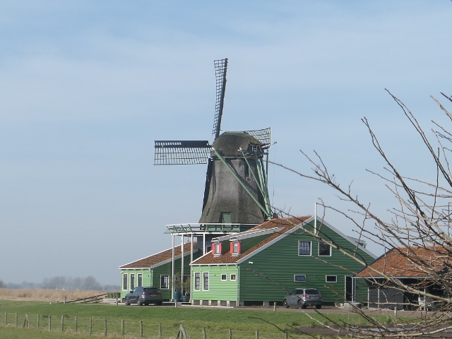 P1350178westzaan_z