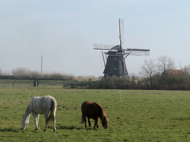 P1350193uitgeest_z