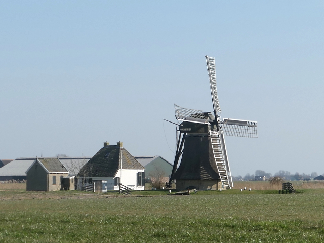 P1350290achlum_z