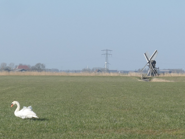 P1350318hartwerd_z