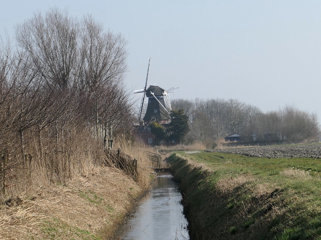 P1350373zuurdijk_z