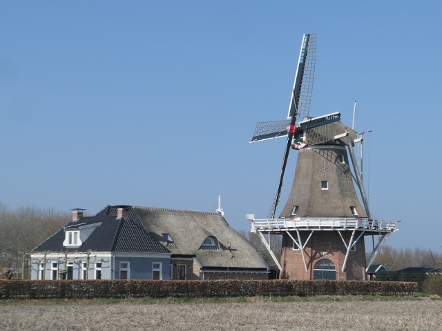 P1350374peazens_z