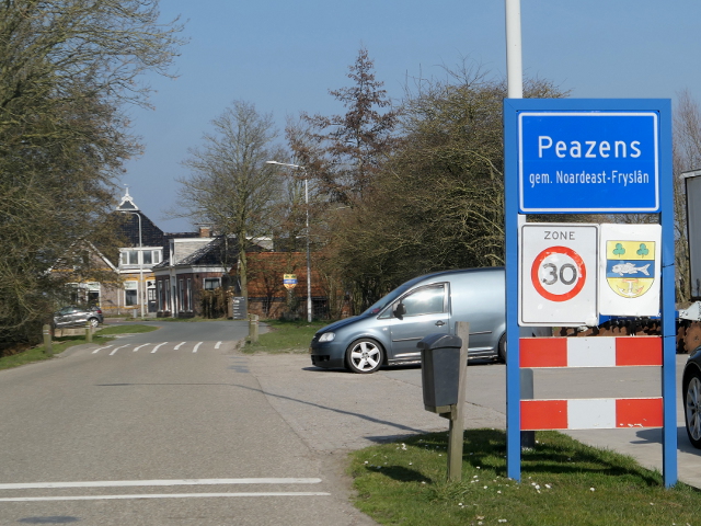 P1350376peazens_b