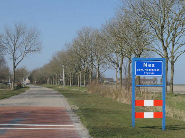 P1350379nes_b