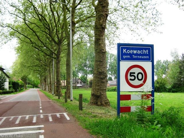 koewacht014