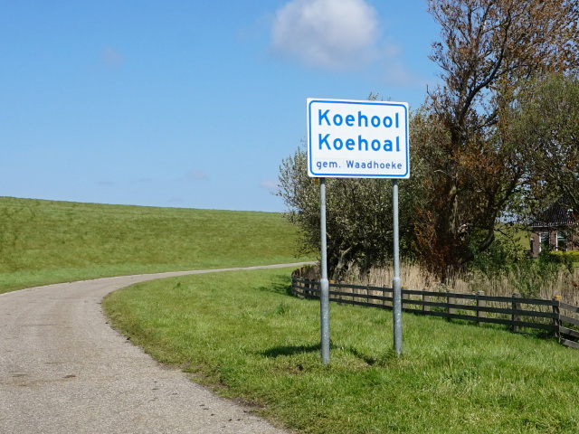 DSC00010koehool_w