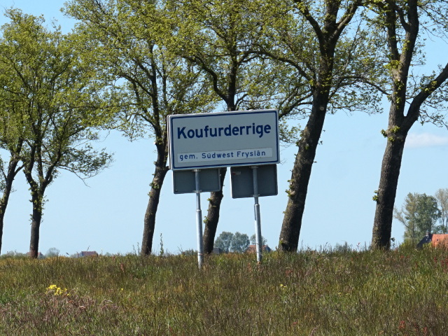 DSC00214koufurderrige_w