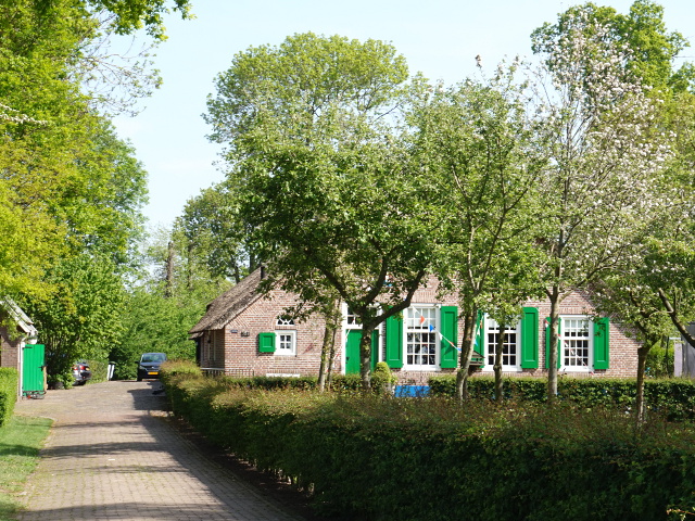 DSC00313rouveen_z