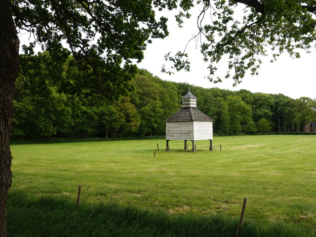 DSC00492echten_z