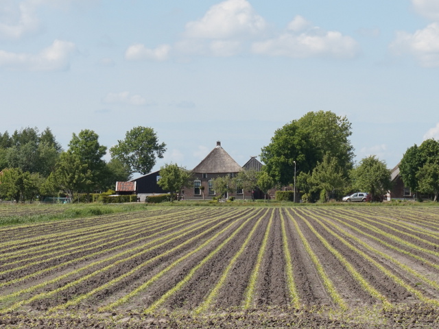 DSC00863oosteinde_z