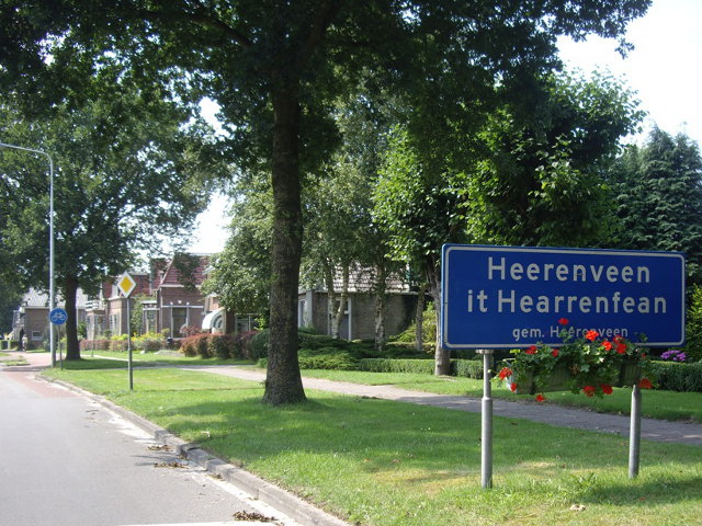 IMGP7781