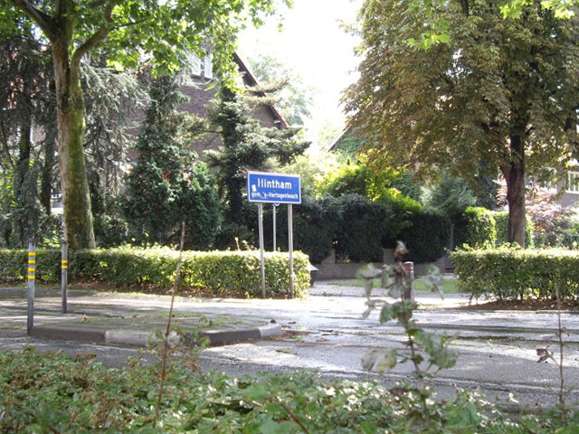 IMGP8731