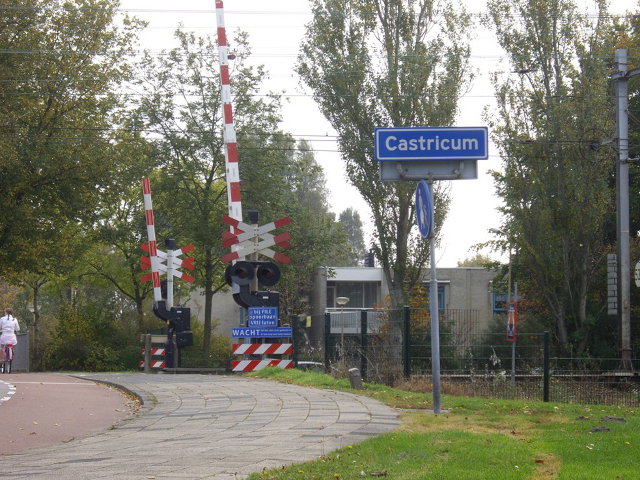 IMGP9929