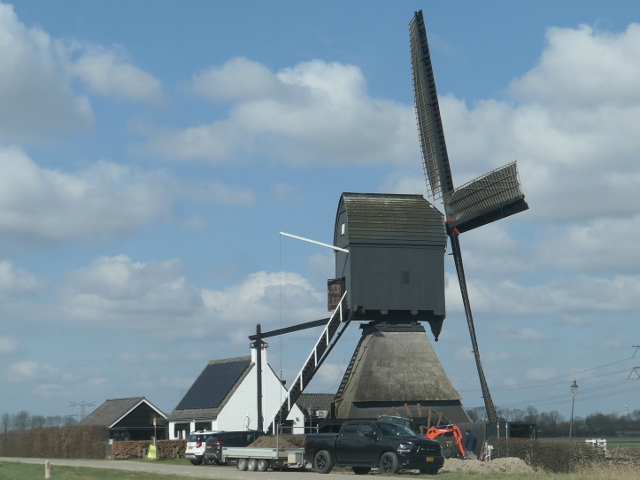 P1350460mijnsheerenland_z
