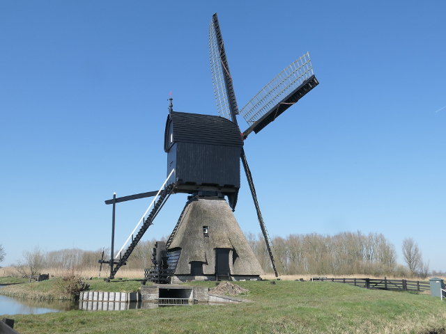 P1350514dussen_z