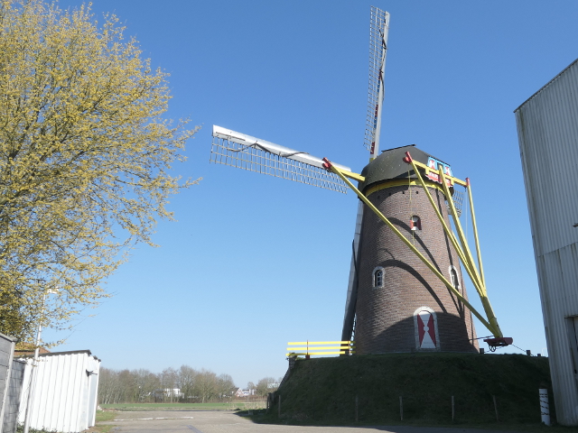 P1350547gemert_z