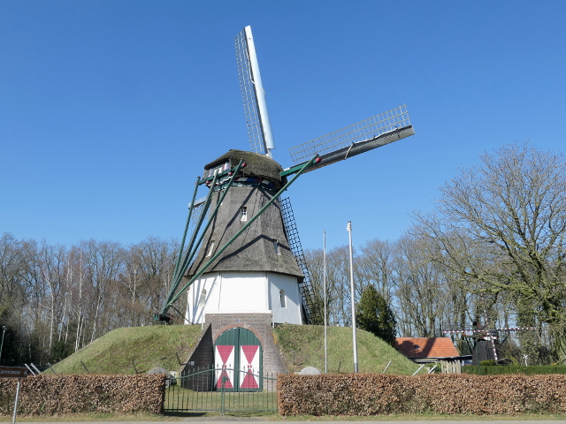 P1350552milheeze_z