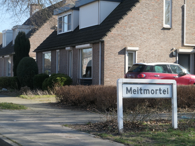 P1350557meitmortel_w