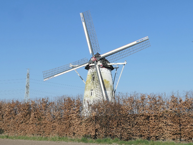 P1350575laar_z