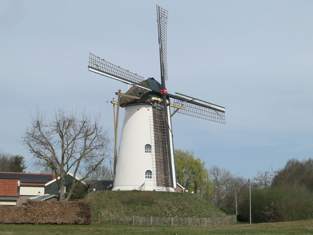 P1350602geldermalsen_z