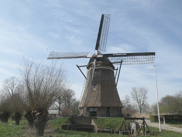 P1350630waardenburg_z