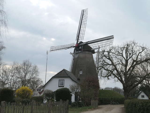 P1350652ede_z