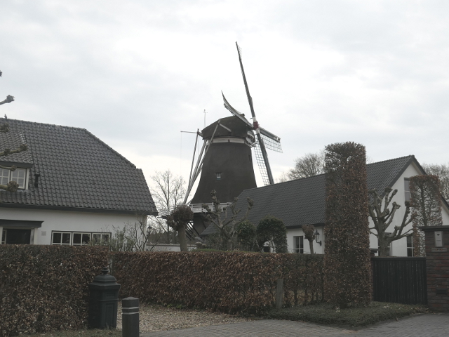 P1350662appel_z