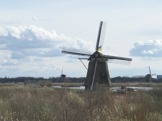 P1350668nieuwlekkerland_z